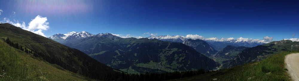 IMG 7175