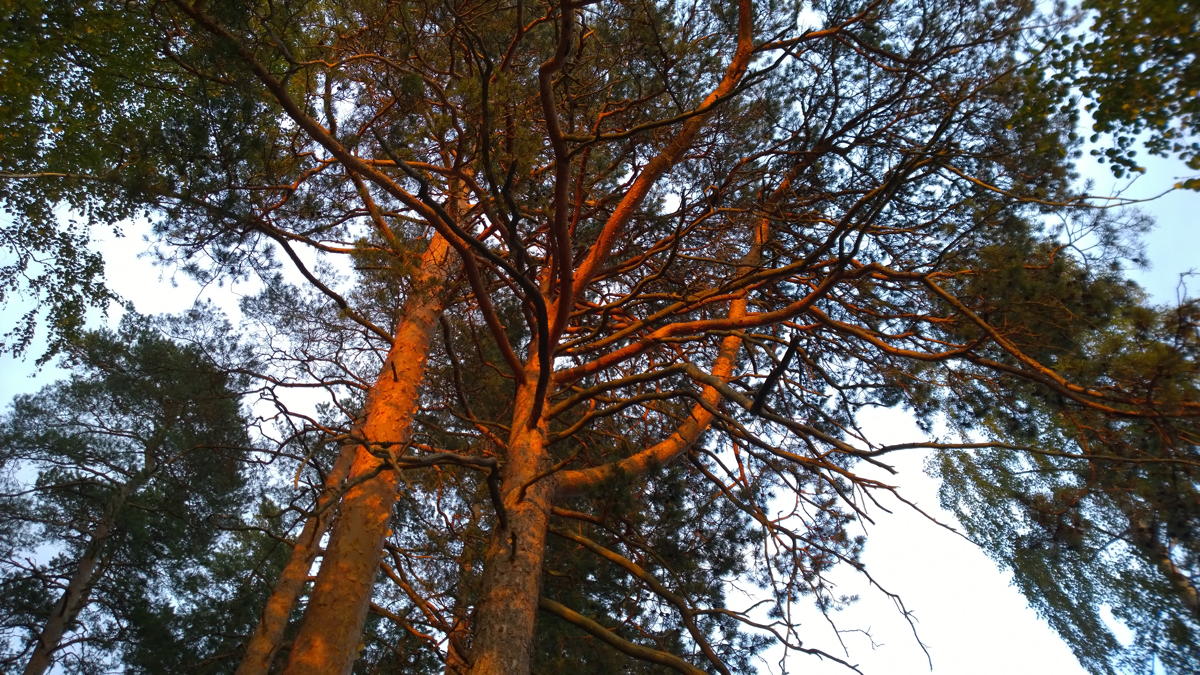 WP 20140713 22 16 27 Pro