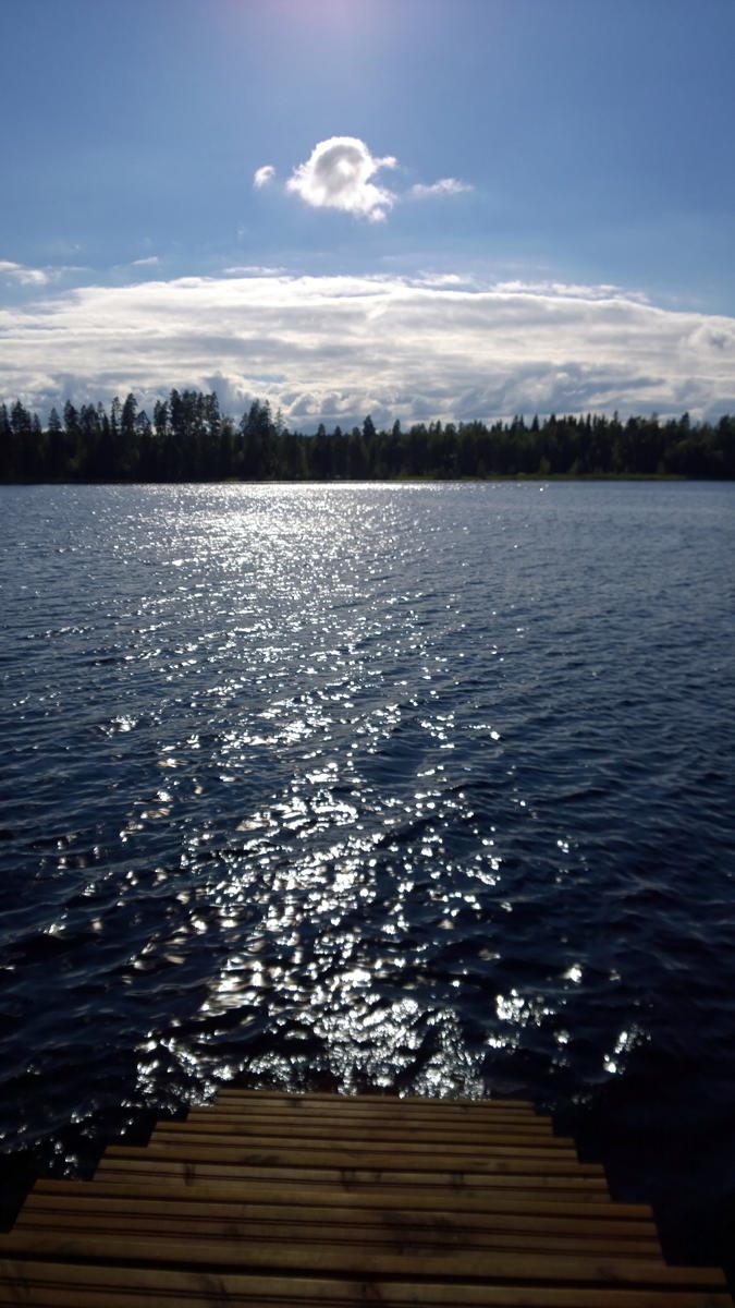 WP 20140714 17 56 50 Pro
