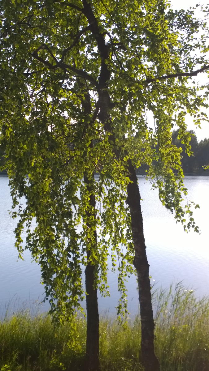 WP 20140714 20 25 03 Pro