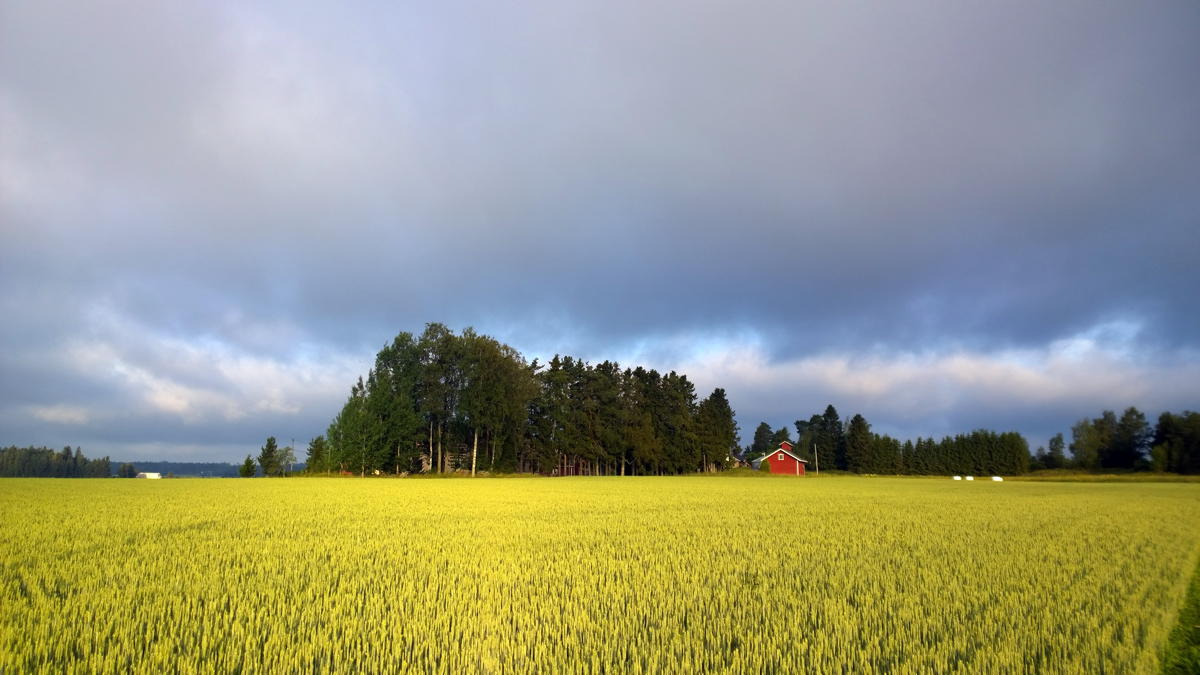 Finland