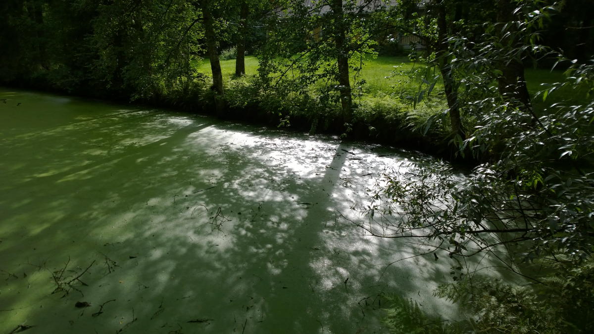 WP 20140718 17 55 36 Pro