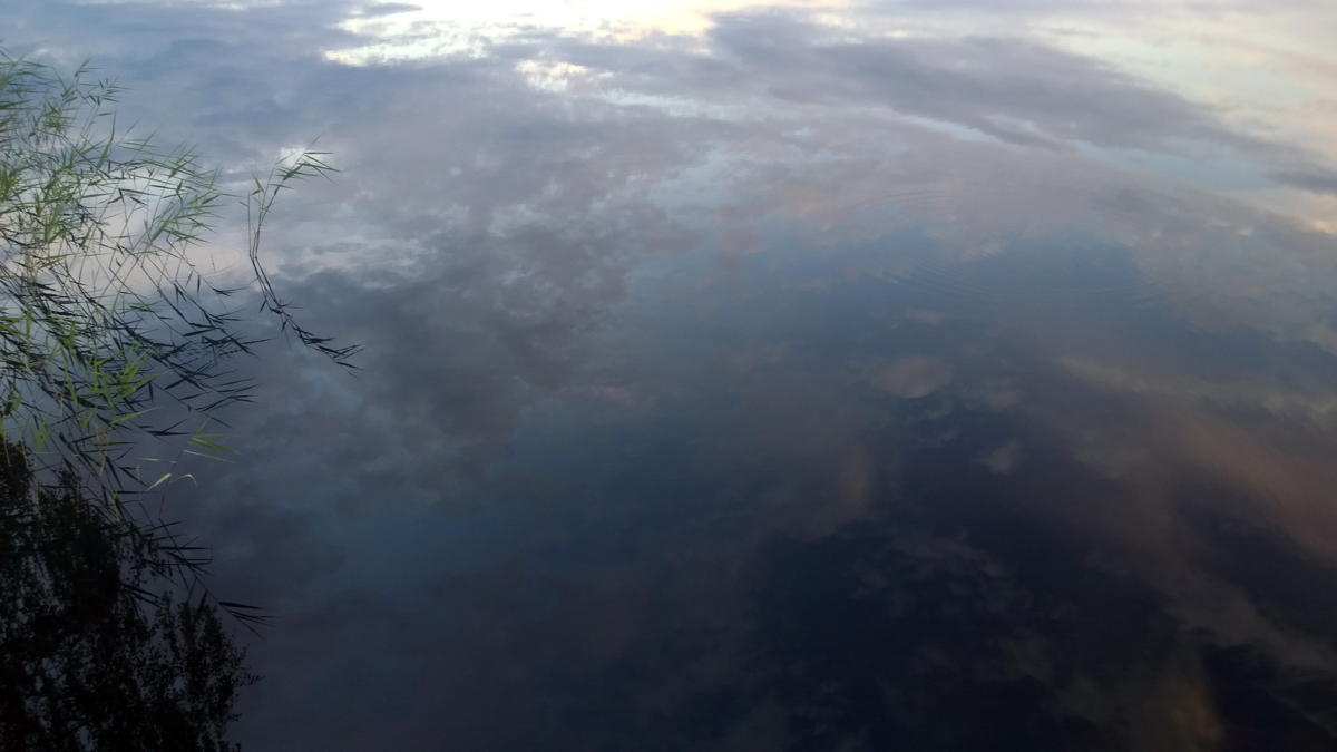 WP 20140718 22 18 10 Pro