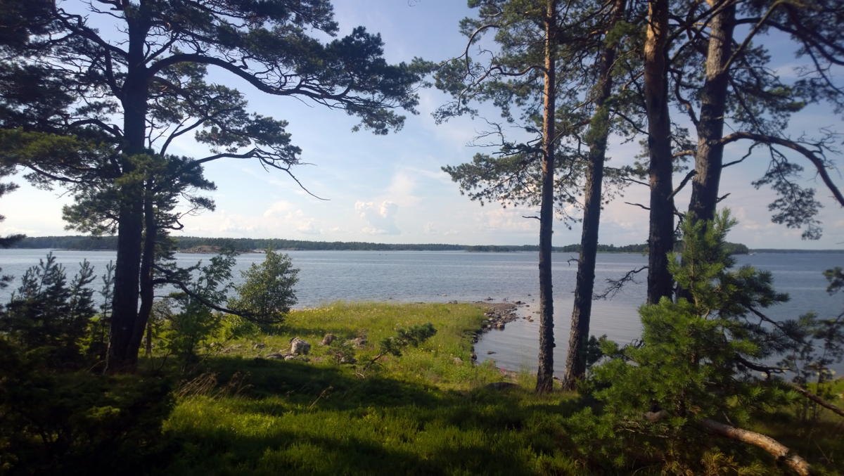 WP 20140719 16 11 30 Pro highres