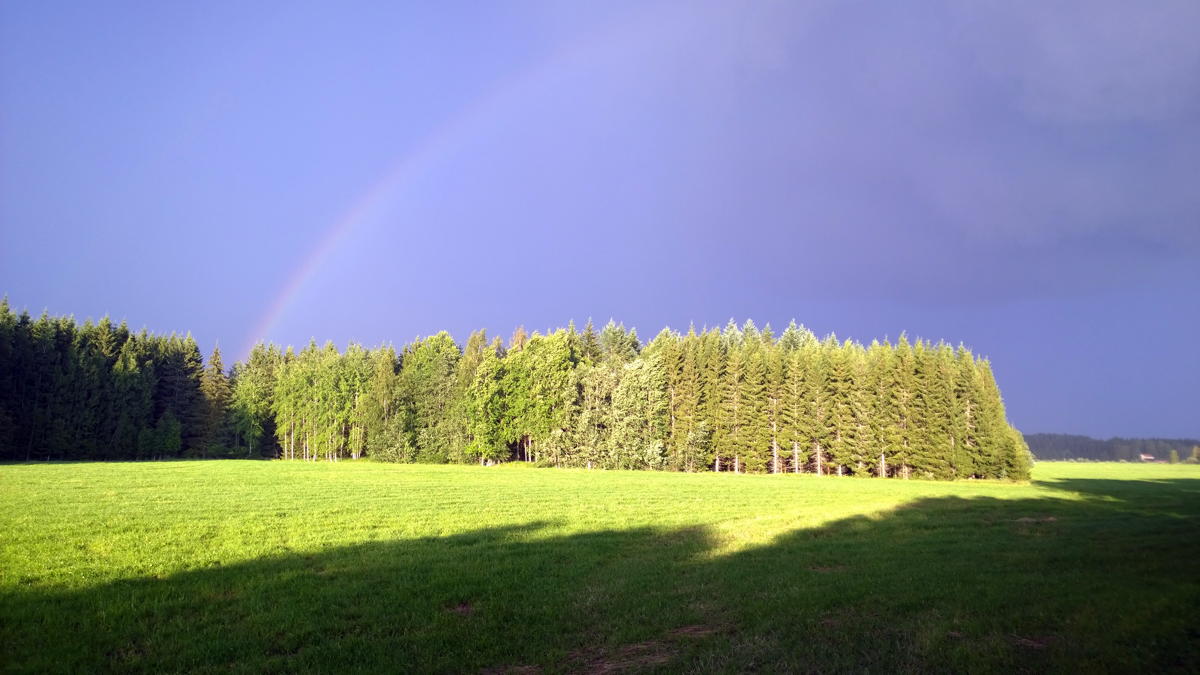 WP 20140720 20 31 47 Pro