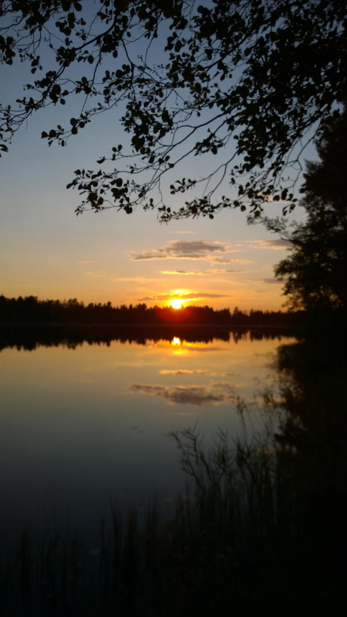 WP 20140723 21 56 30 Pro