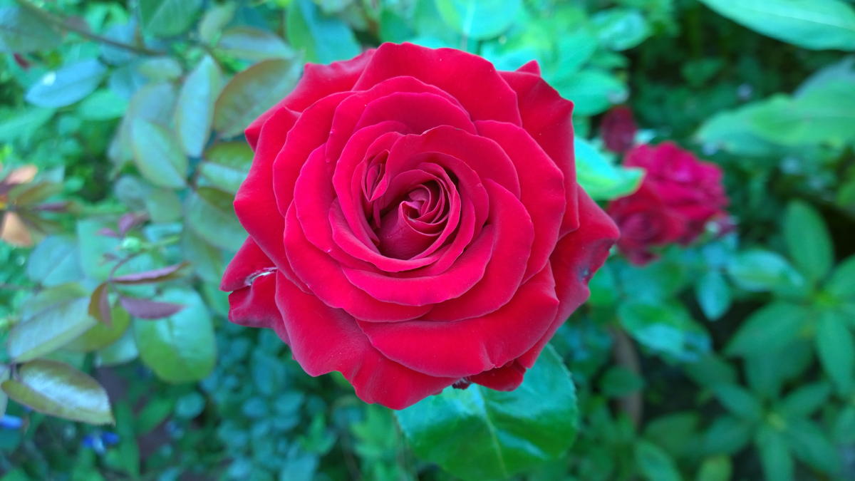 WP 20140724 10 32 48 Pro