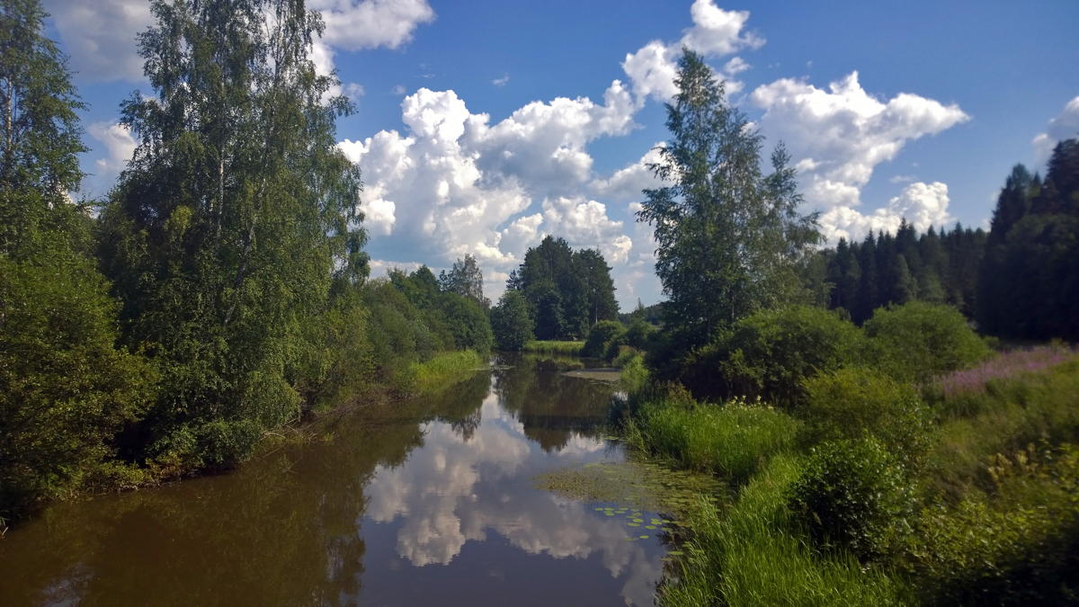 WP 20140724 14 46 10 Pro
