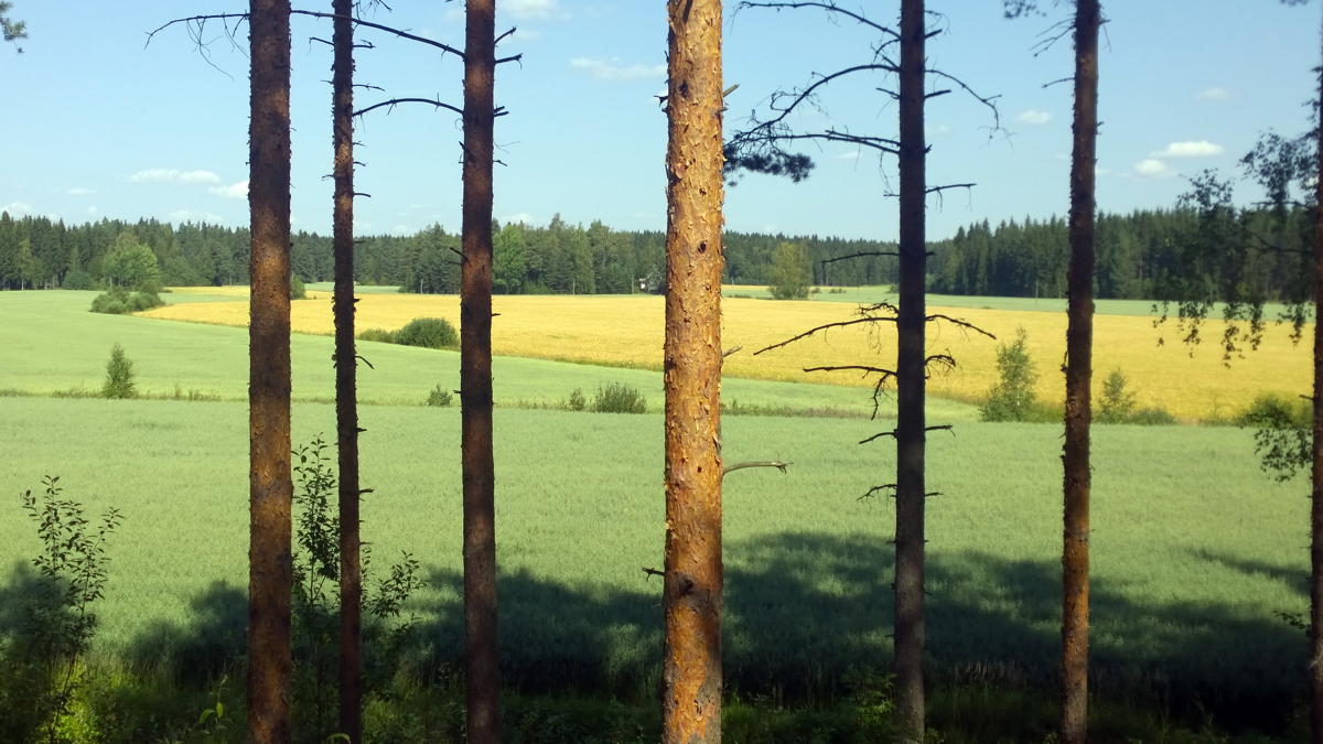 WP 20140727 12 53 01 Pro