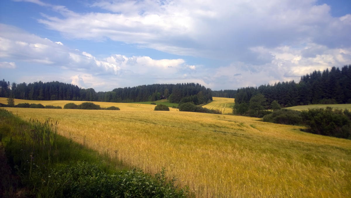 WP 20140728 16 10 10 Pro highres