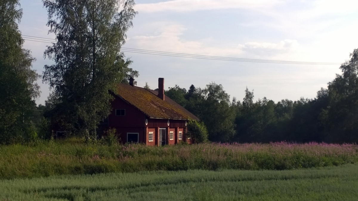 WP 20140728 17 52 55 Pro