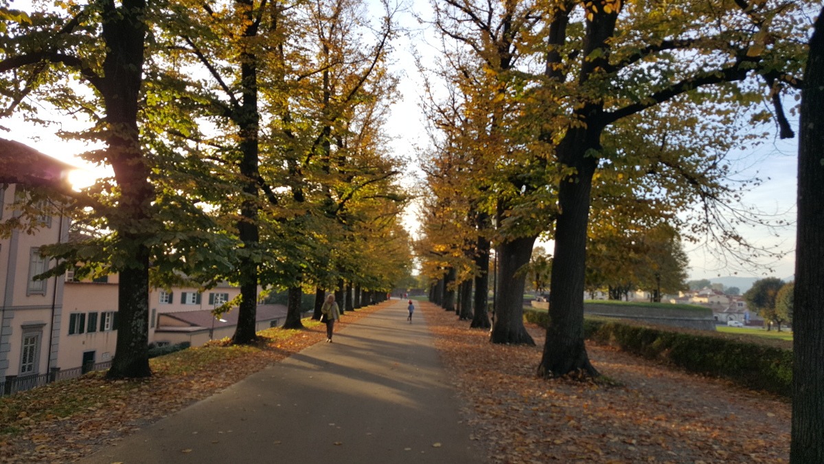20151026 162251
