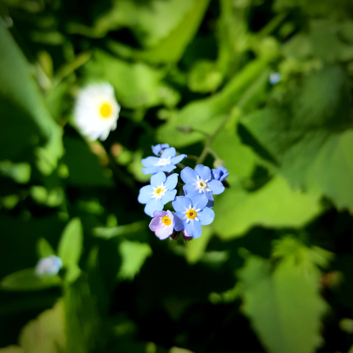 20170511 084829