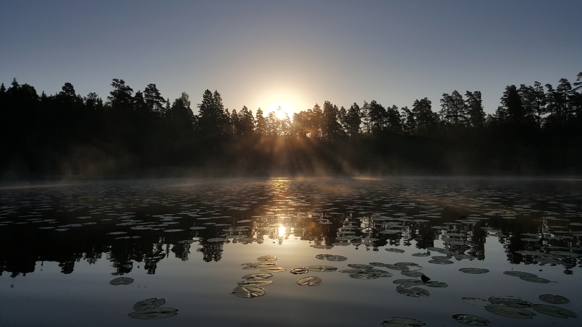 Summer In Finland