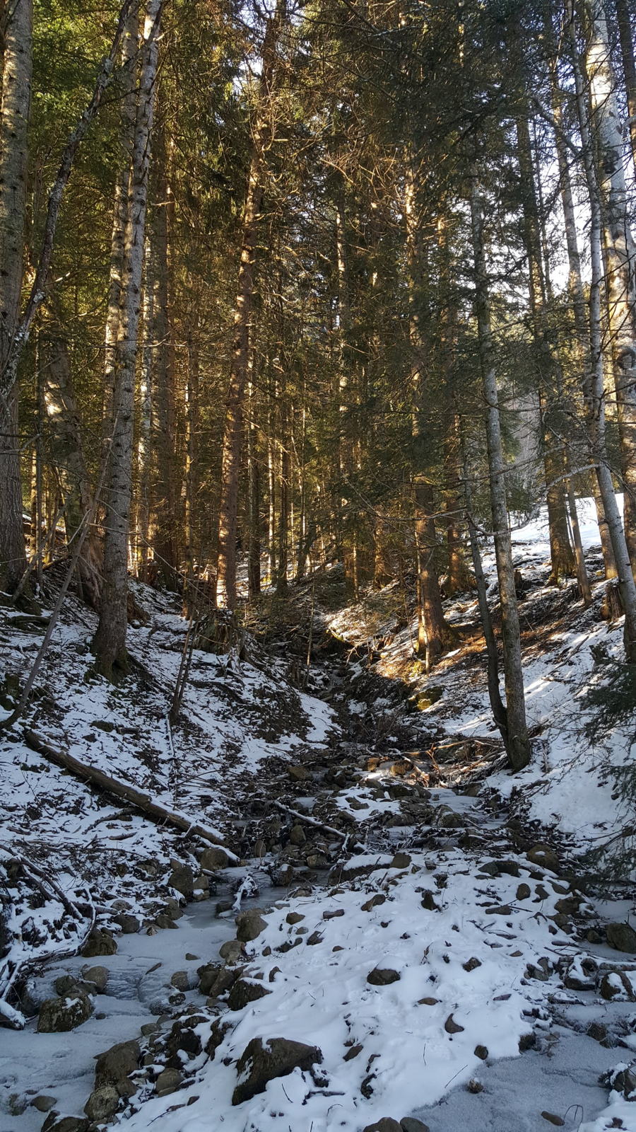 20180225 160710