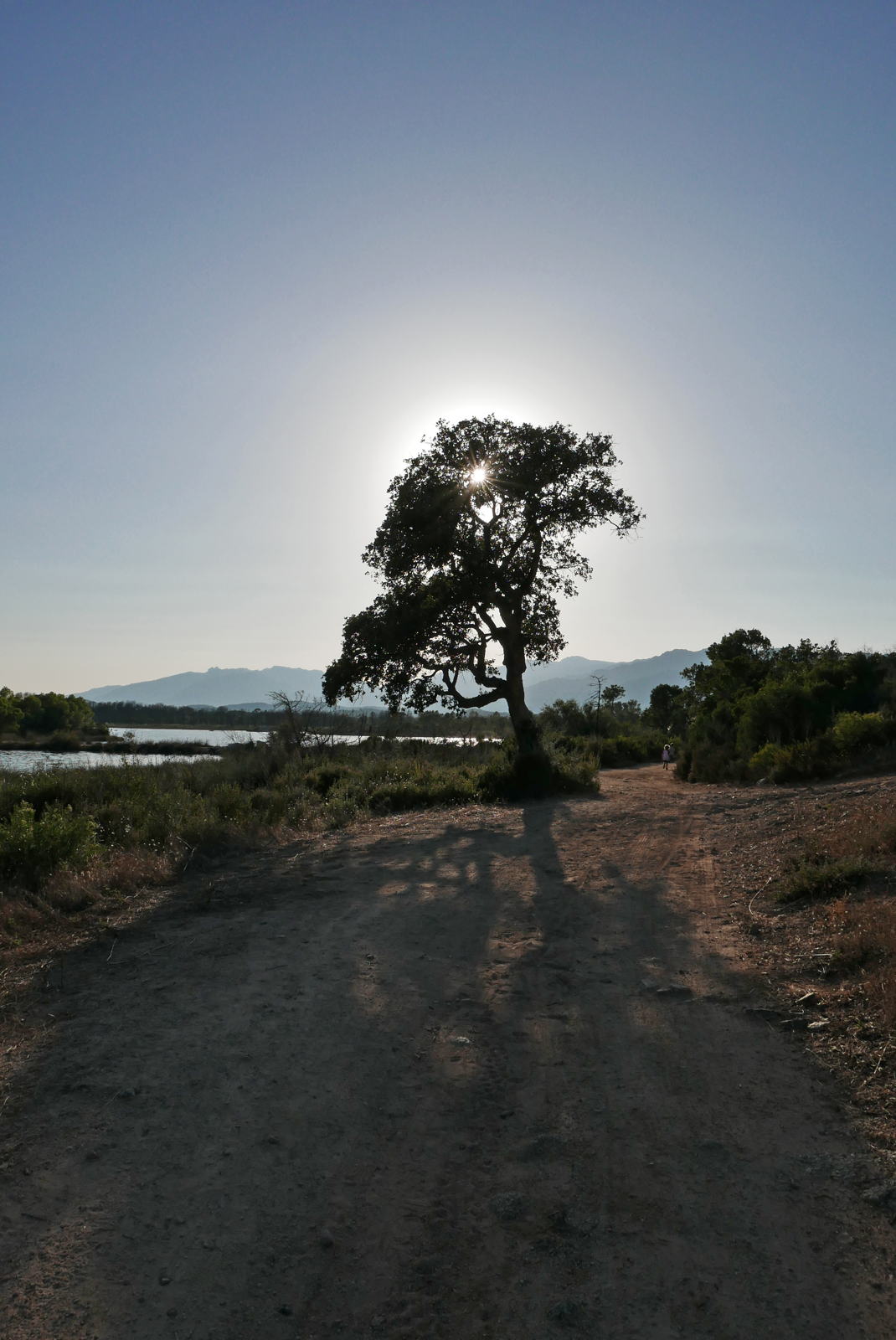 P1000314