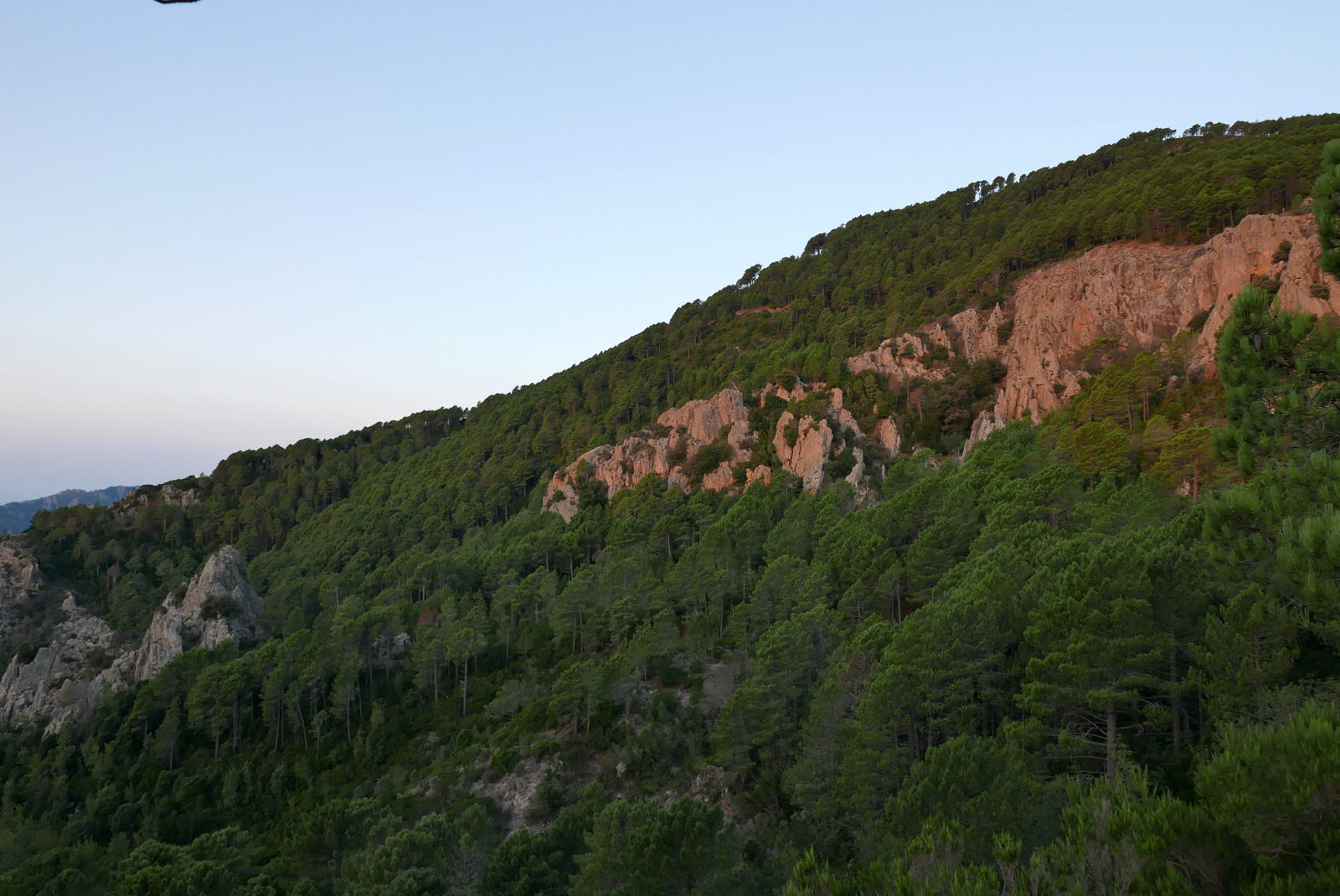 P1000350