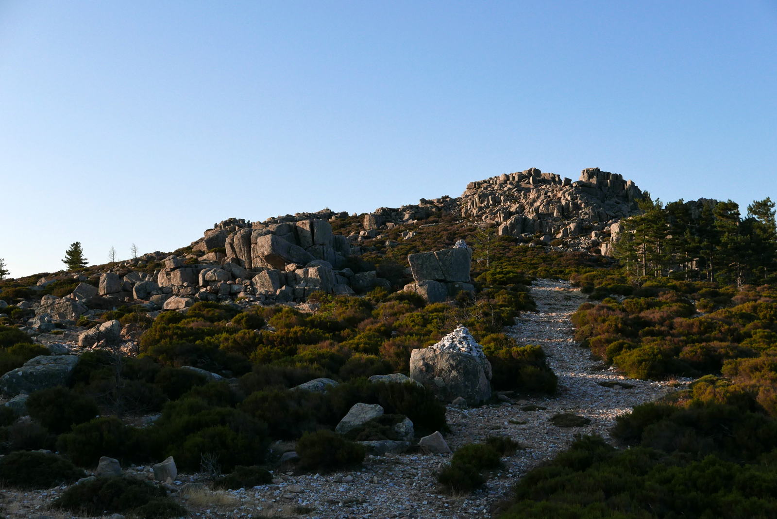 P1000358