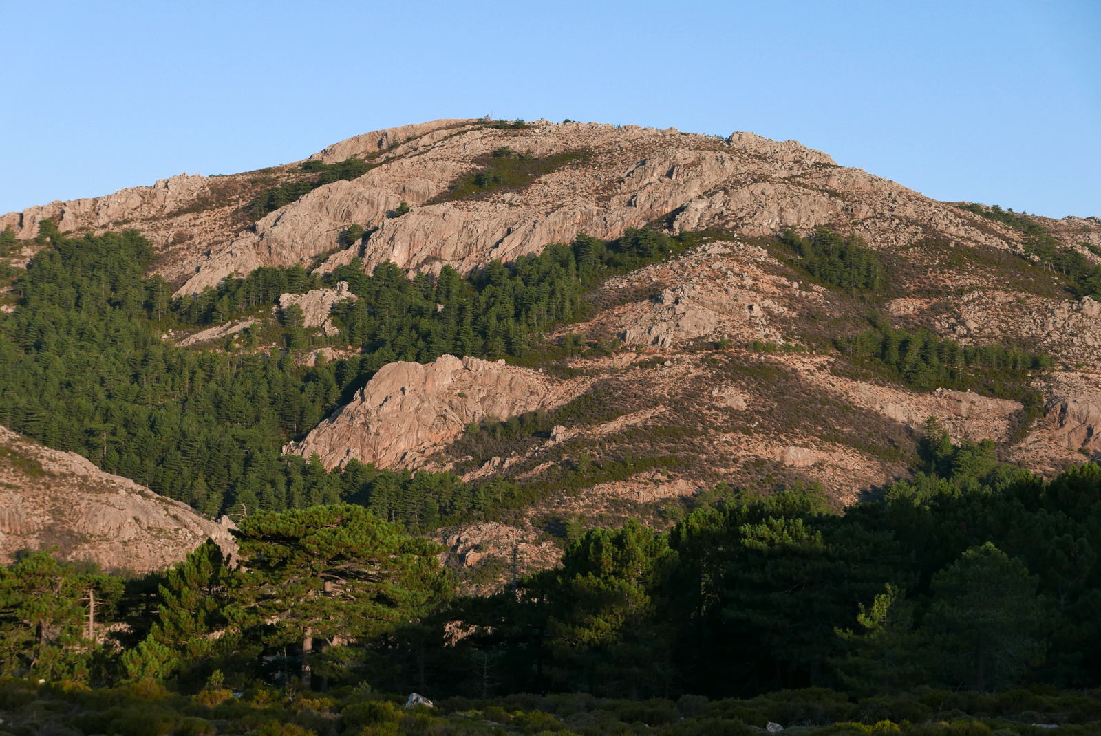 P1000359