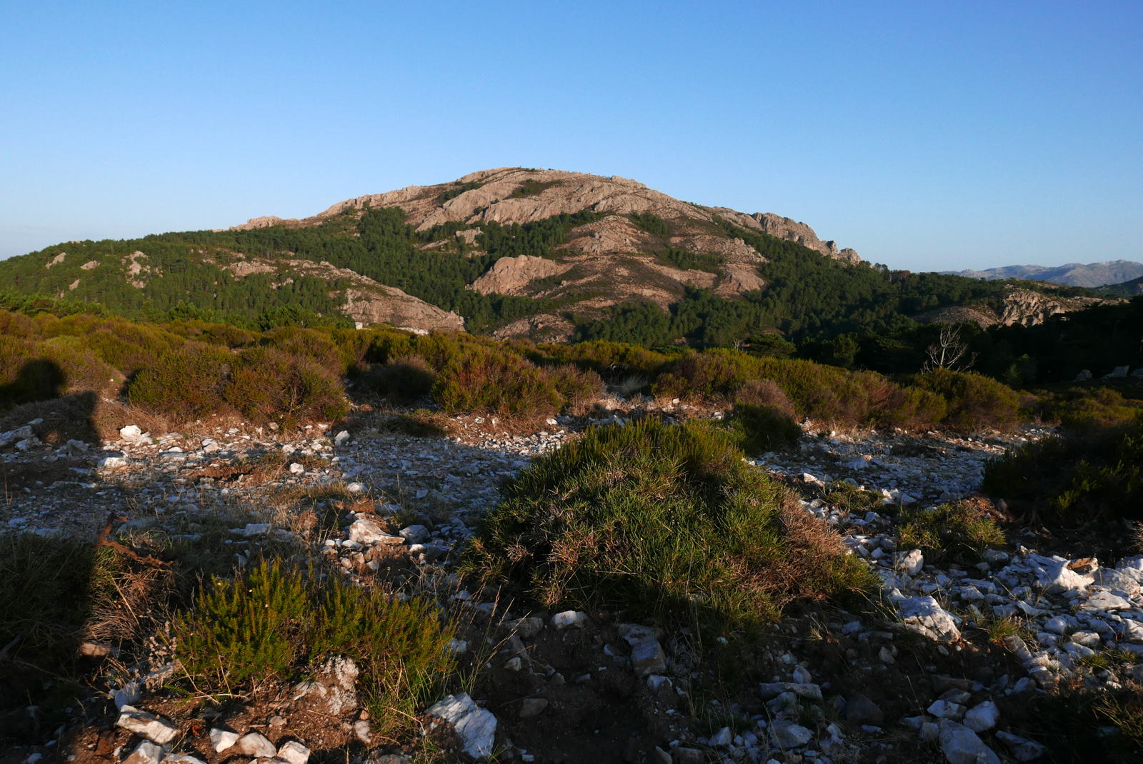 P1000361