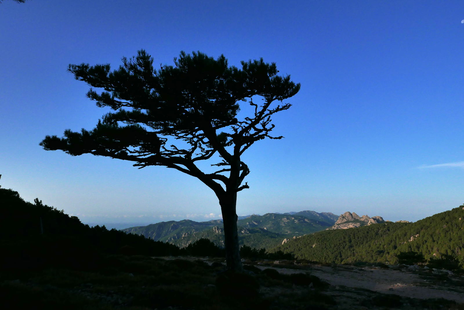 P1000371