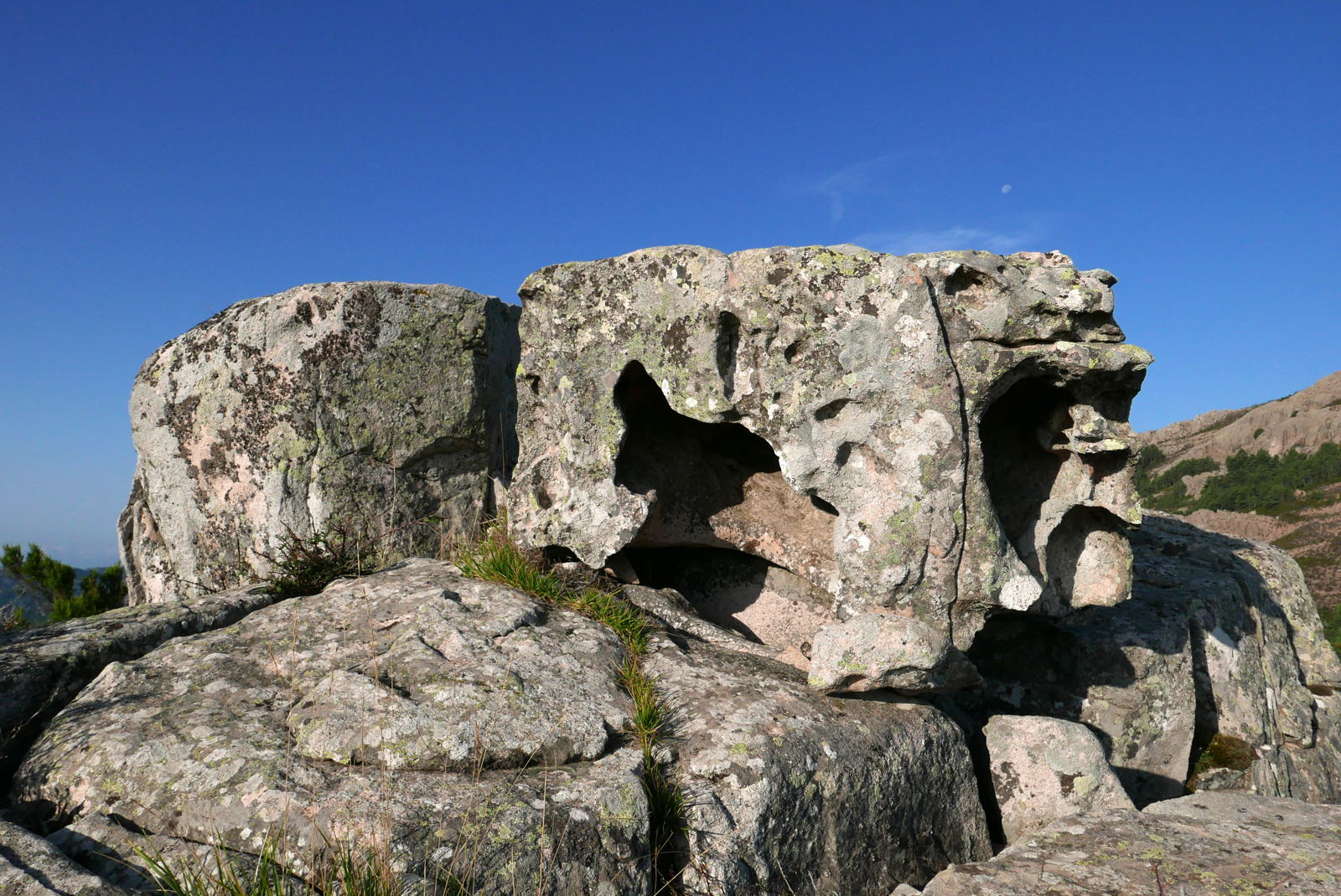 P1000397