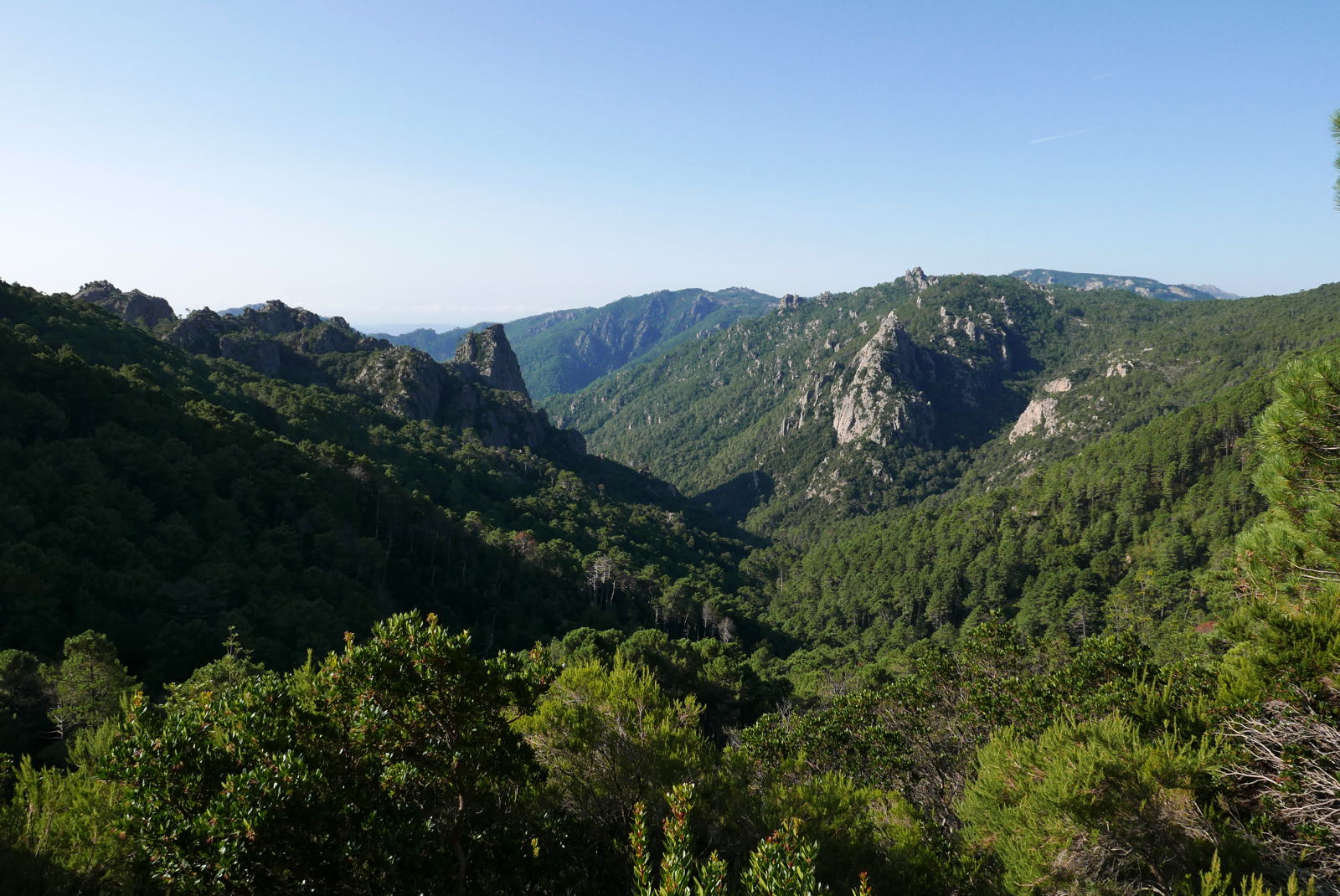 P1000445