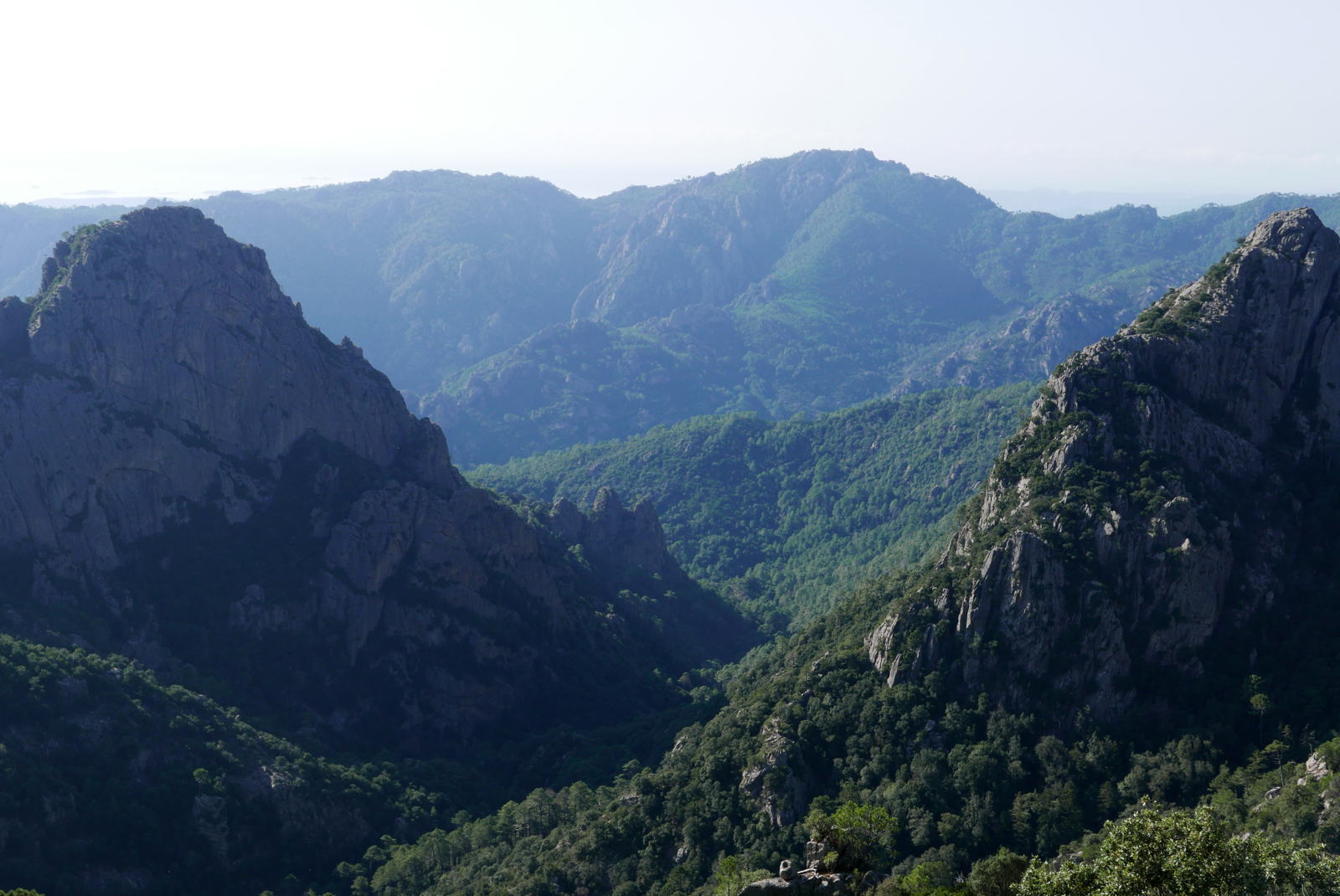 P1000449