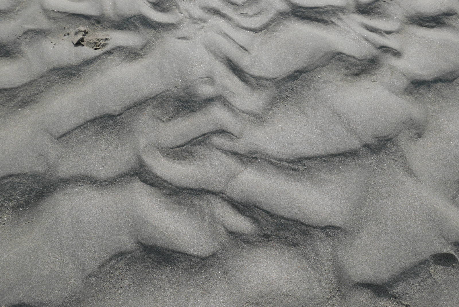 P1000172