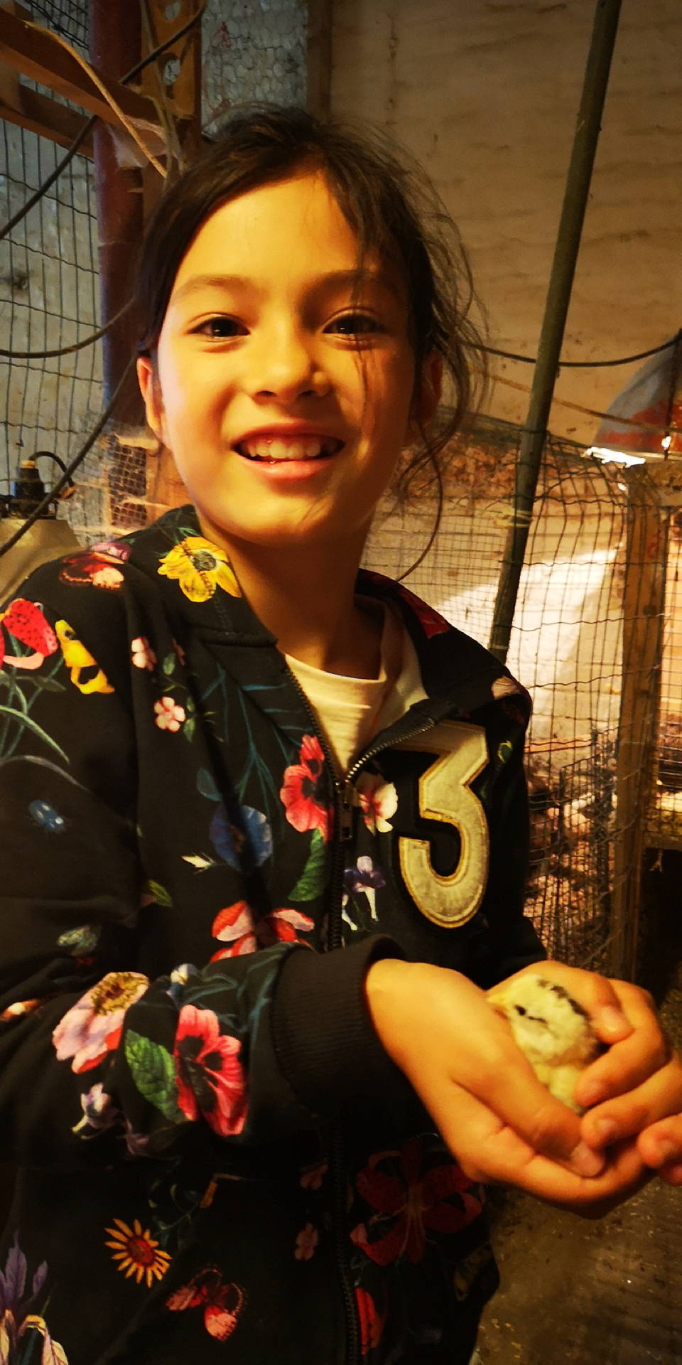 IMG 20190713 183116