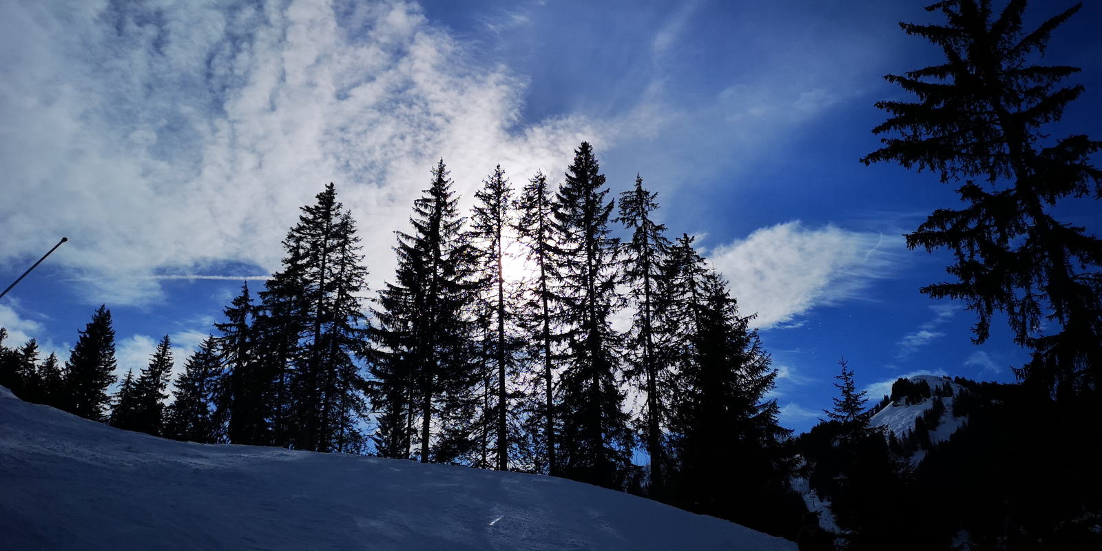 IMG 20190303 150548