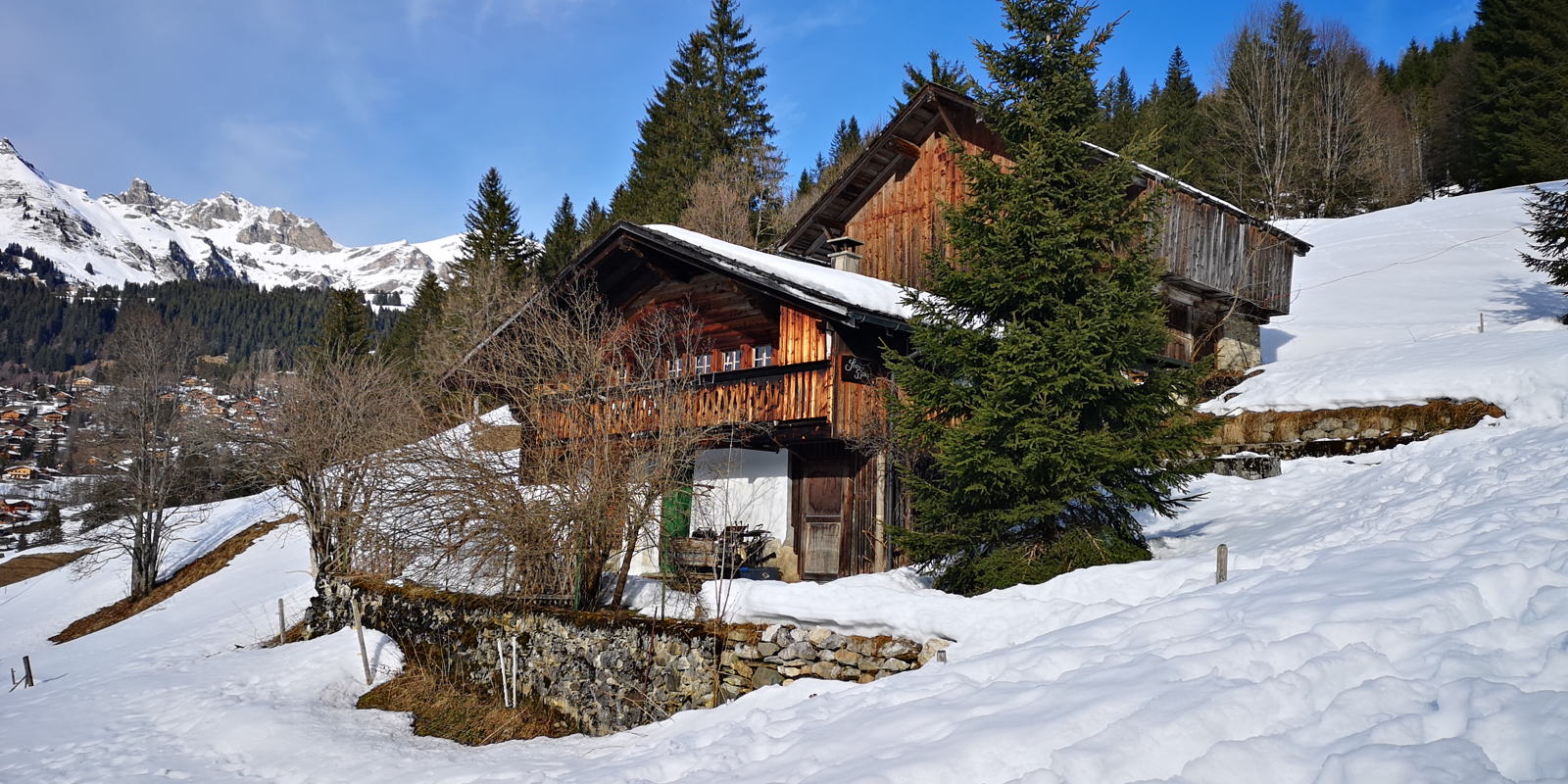 IMG 20190303 154946