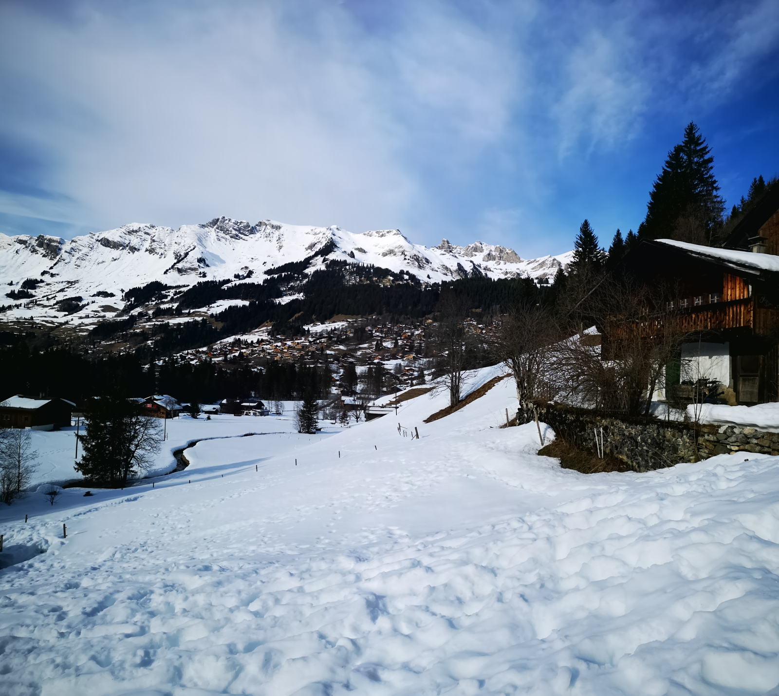 IMG 20190303 155007