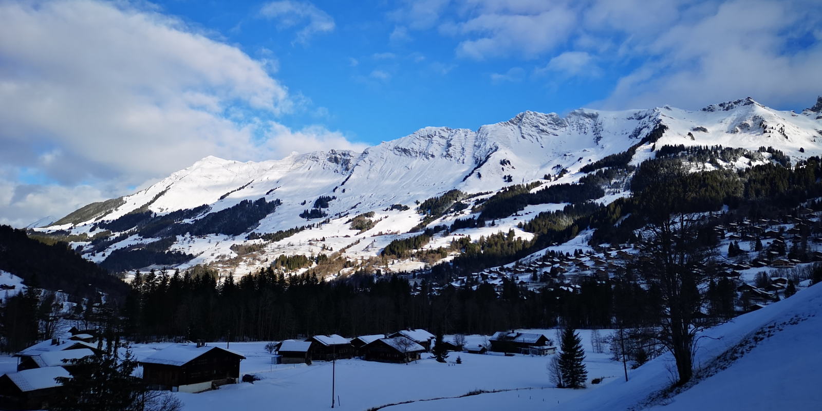IMG 20190305 084437