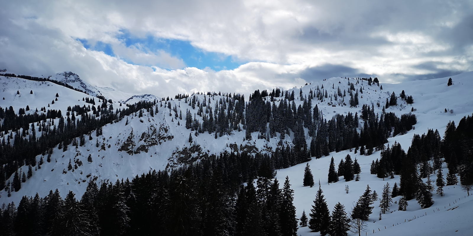 IMG 20190308 151428