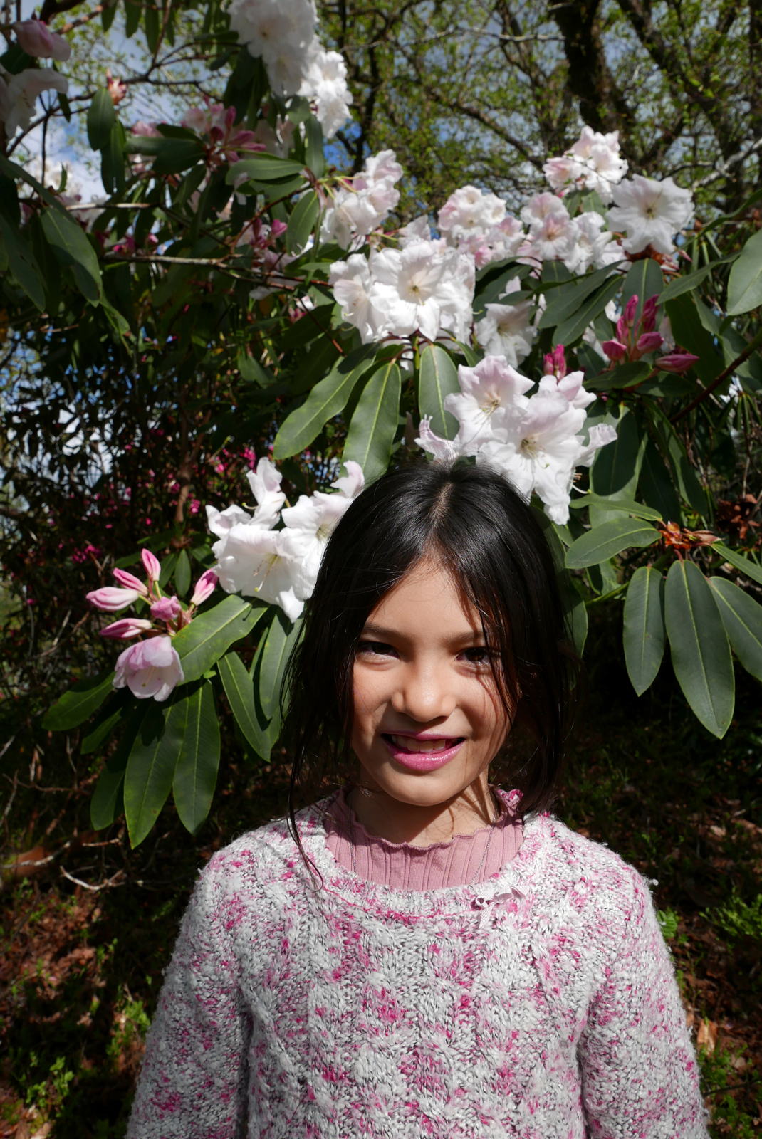 2019 04 29 angus garden22
