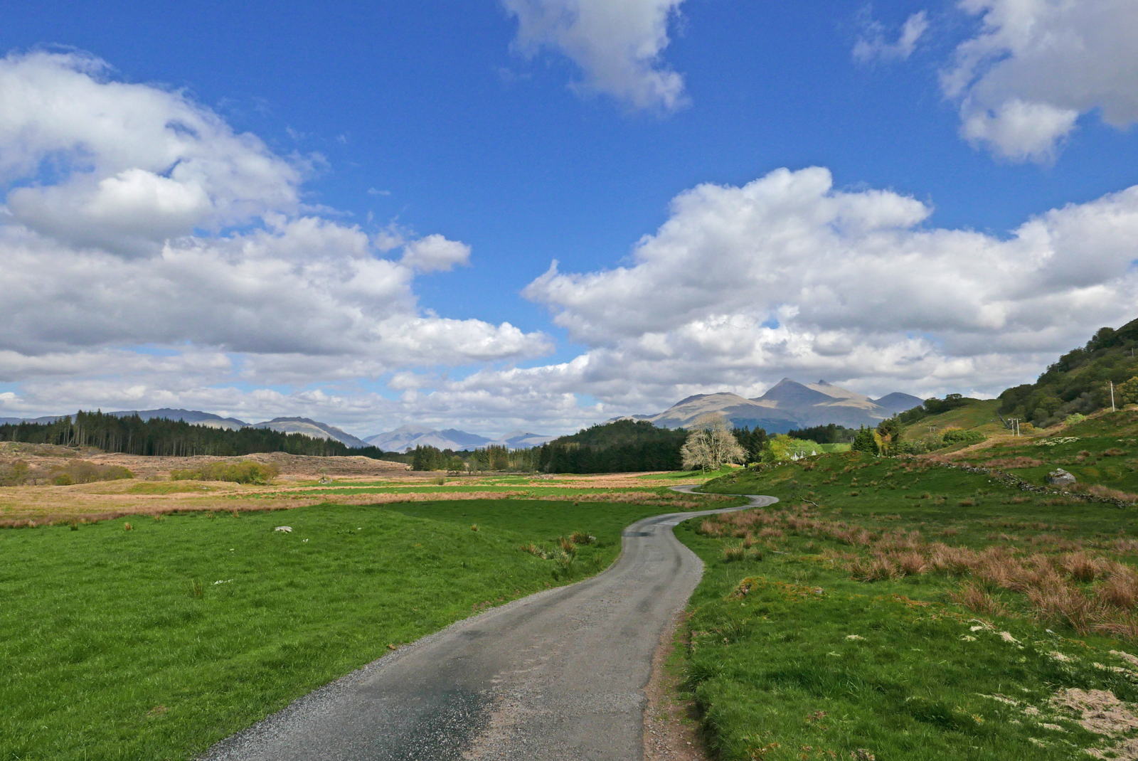 2019 04 29 glen lonan