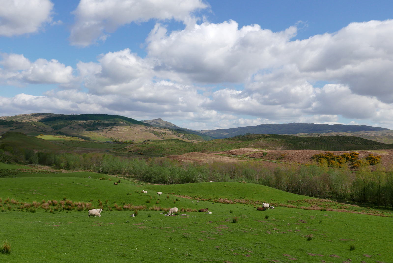2019 04 29 glen lonan13