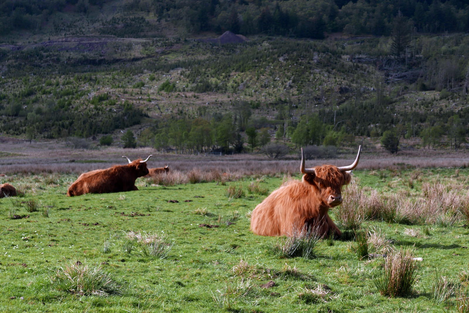 2019 04 29 glen lonan4