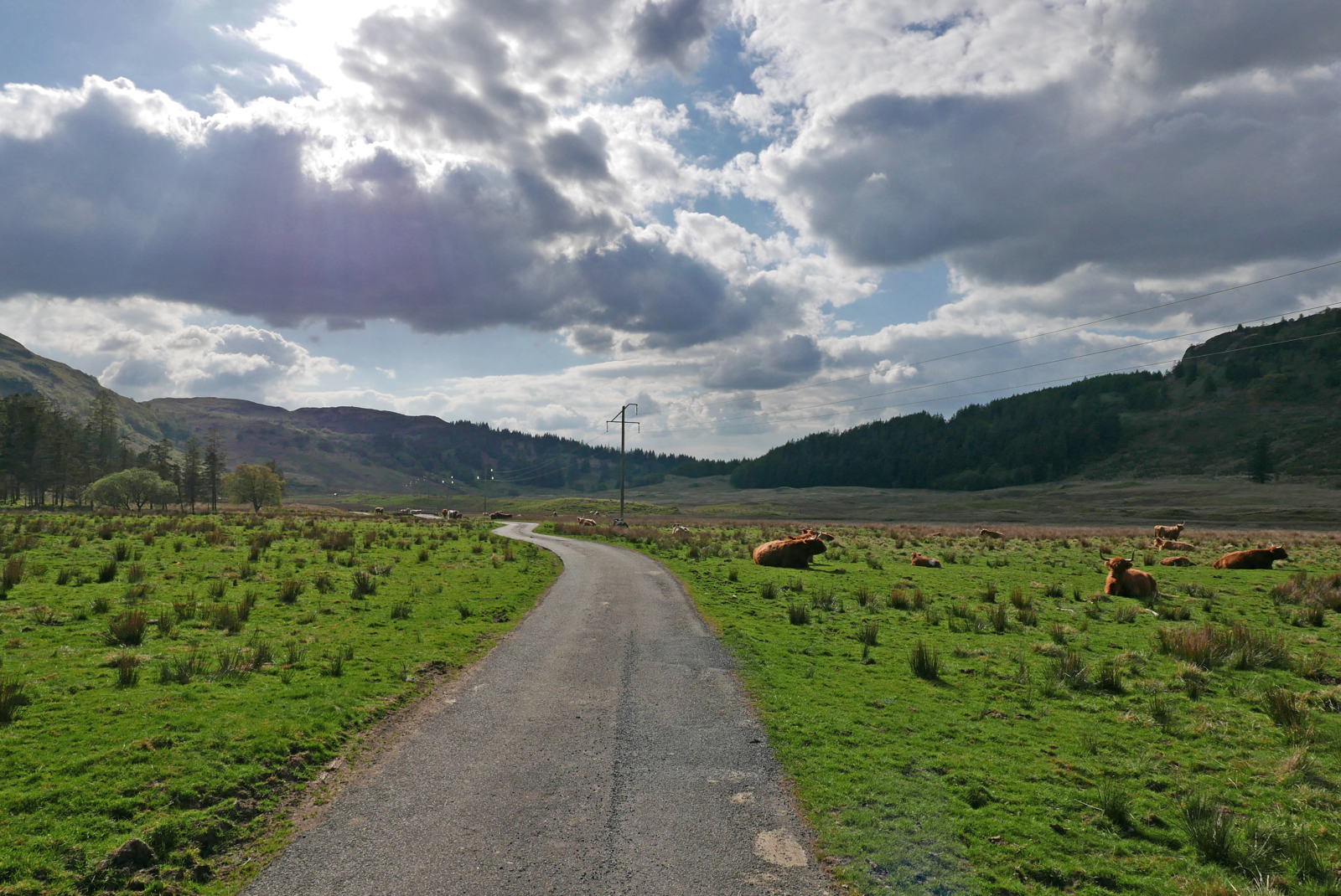 2019 04 29 glen lonan5
