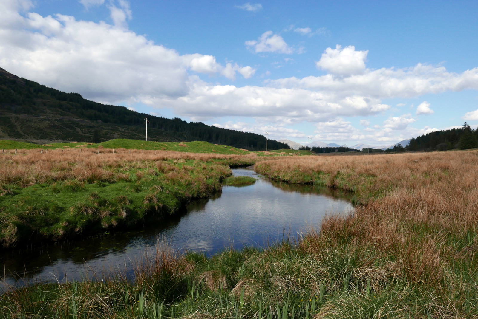 2019 04 29 glen lonan6