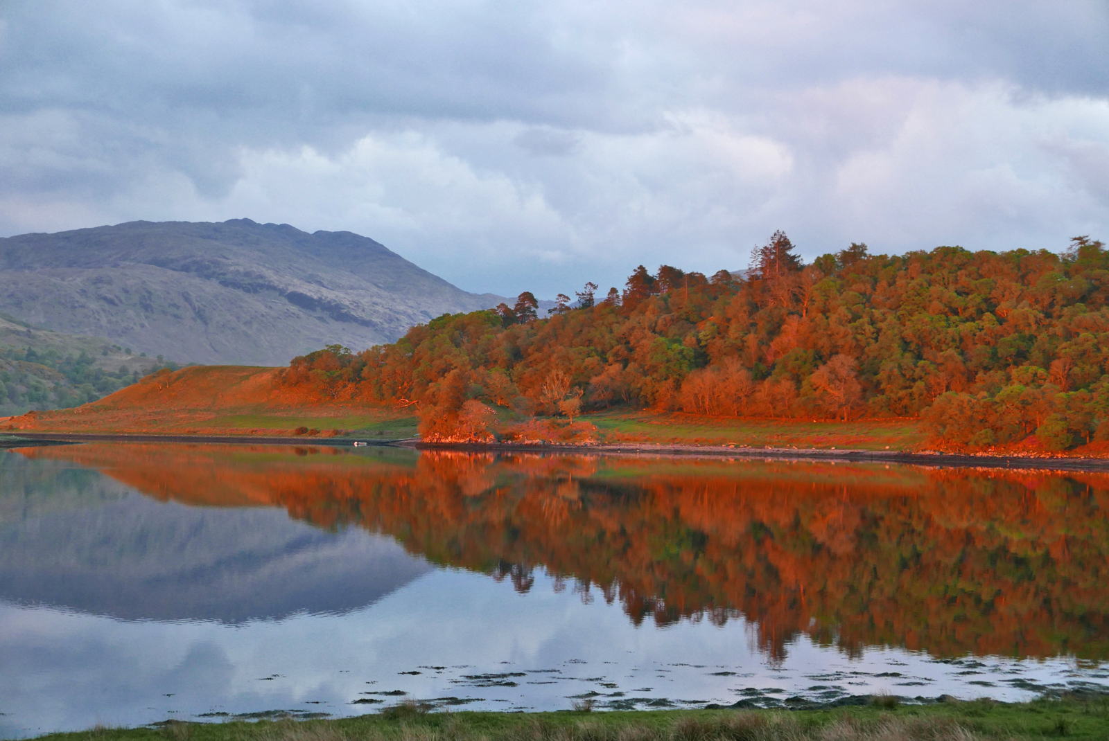 Scotland