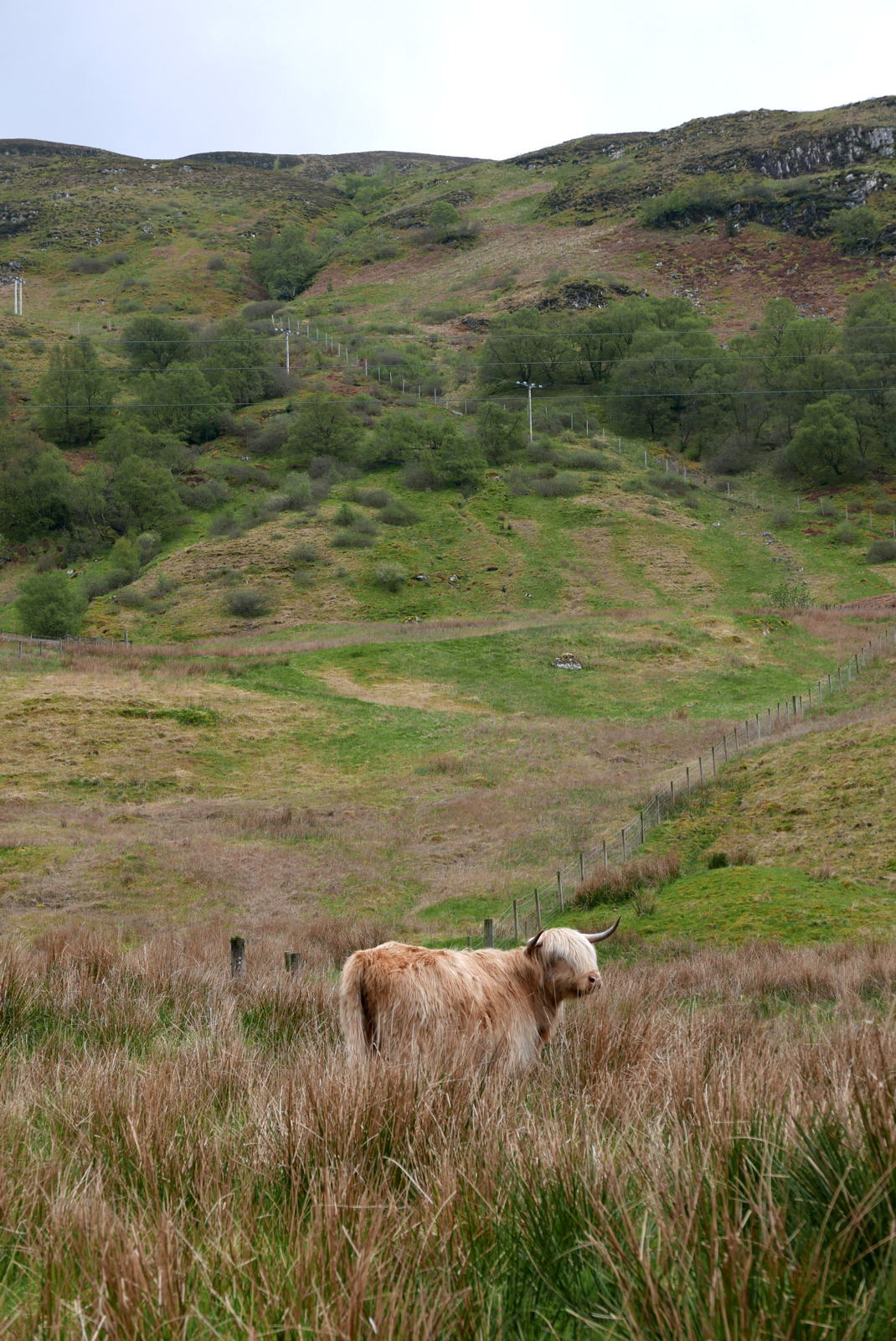 2019 04 30 glen lonan11