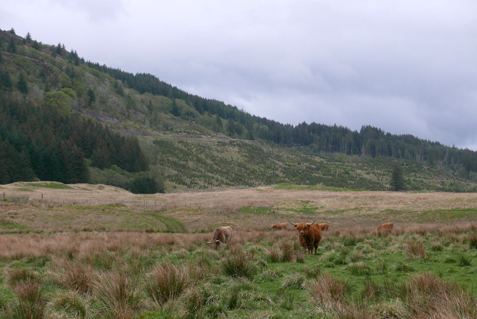 2019 04 30 glen lonan12
