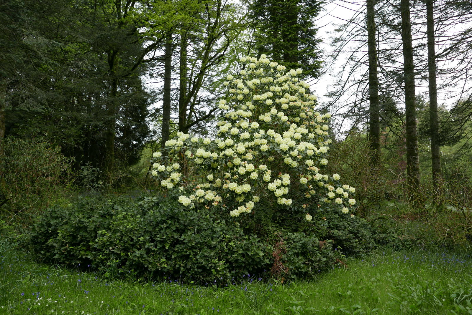 2019 04 30 inveraray castle20