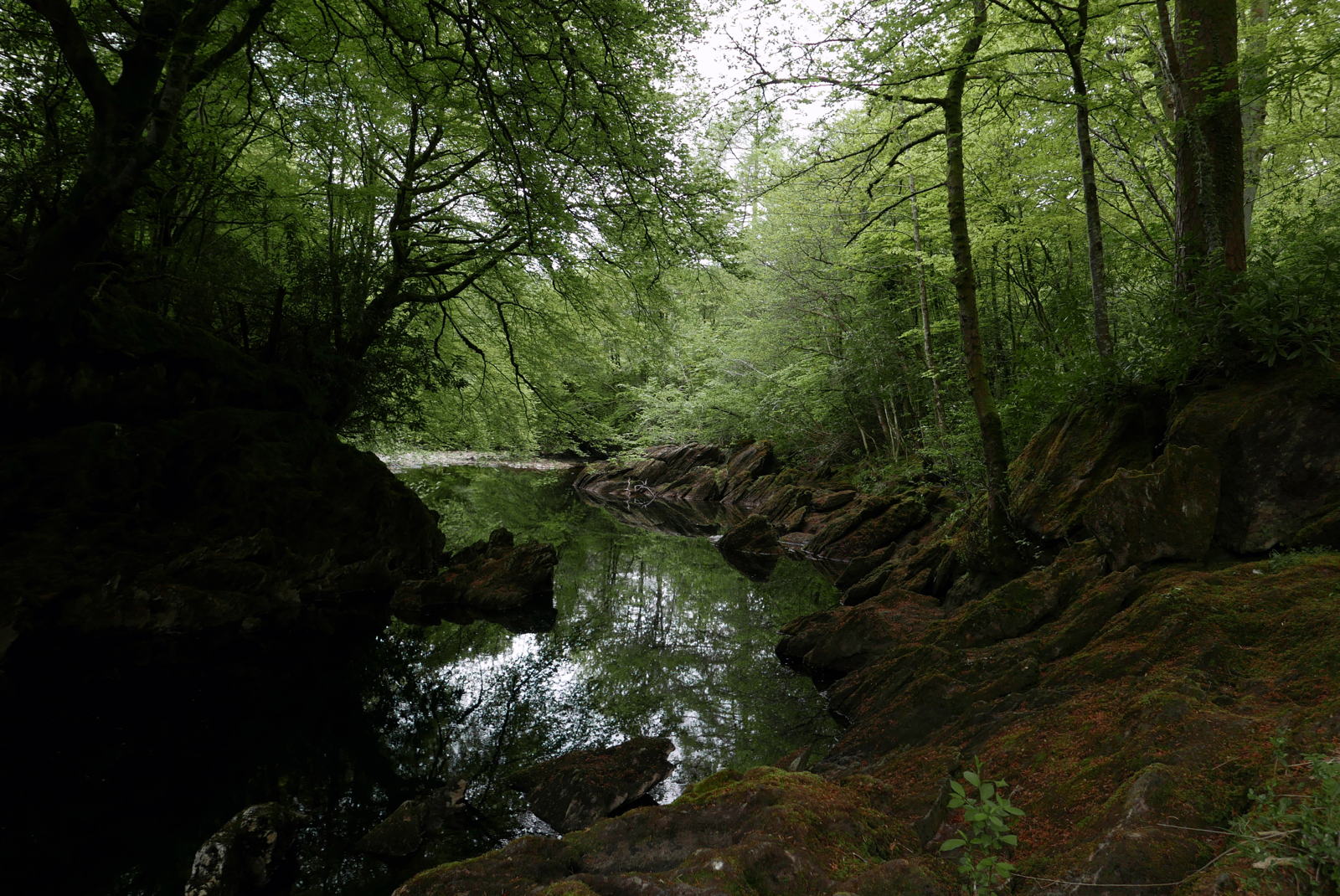 2019 05 01 glen coe10