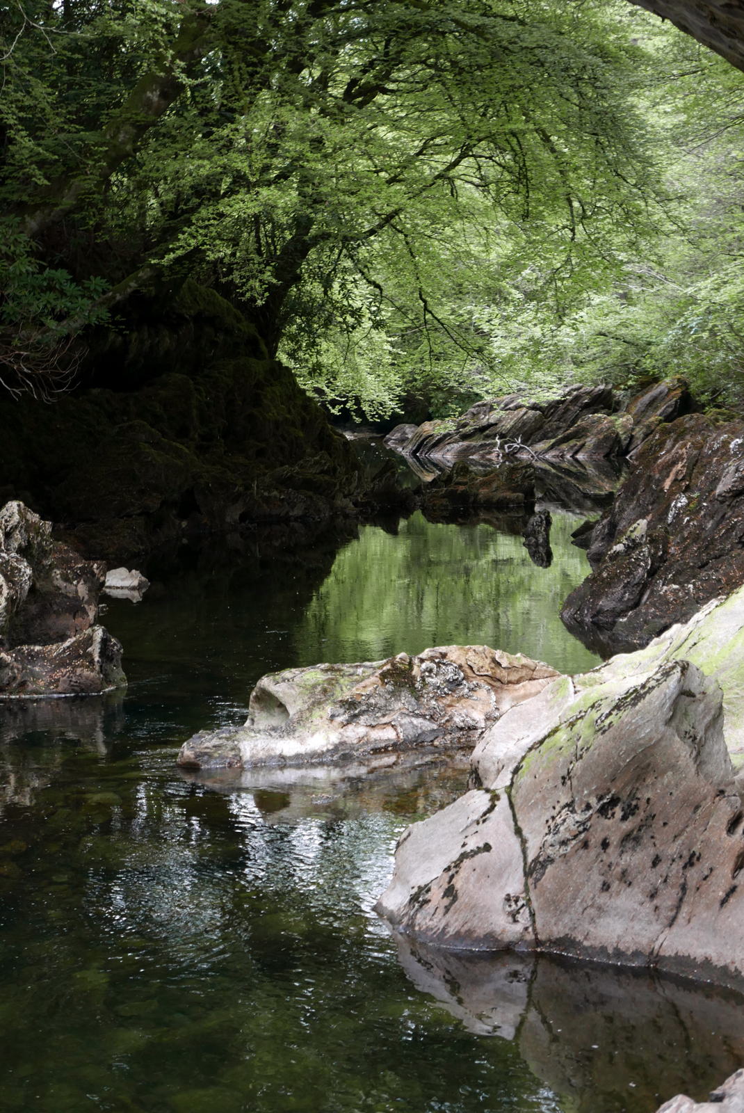 2019 05 01 glen coe9