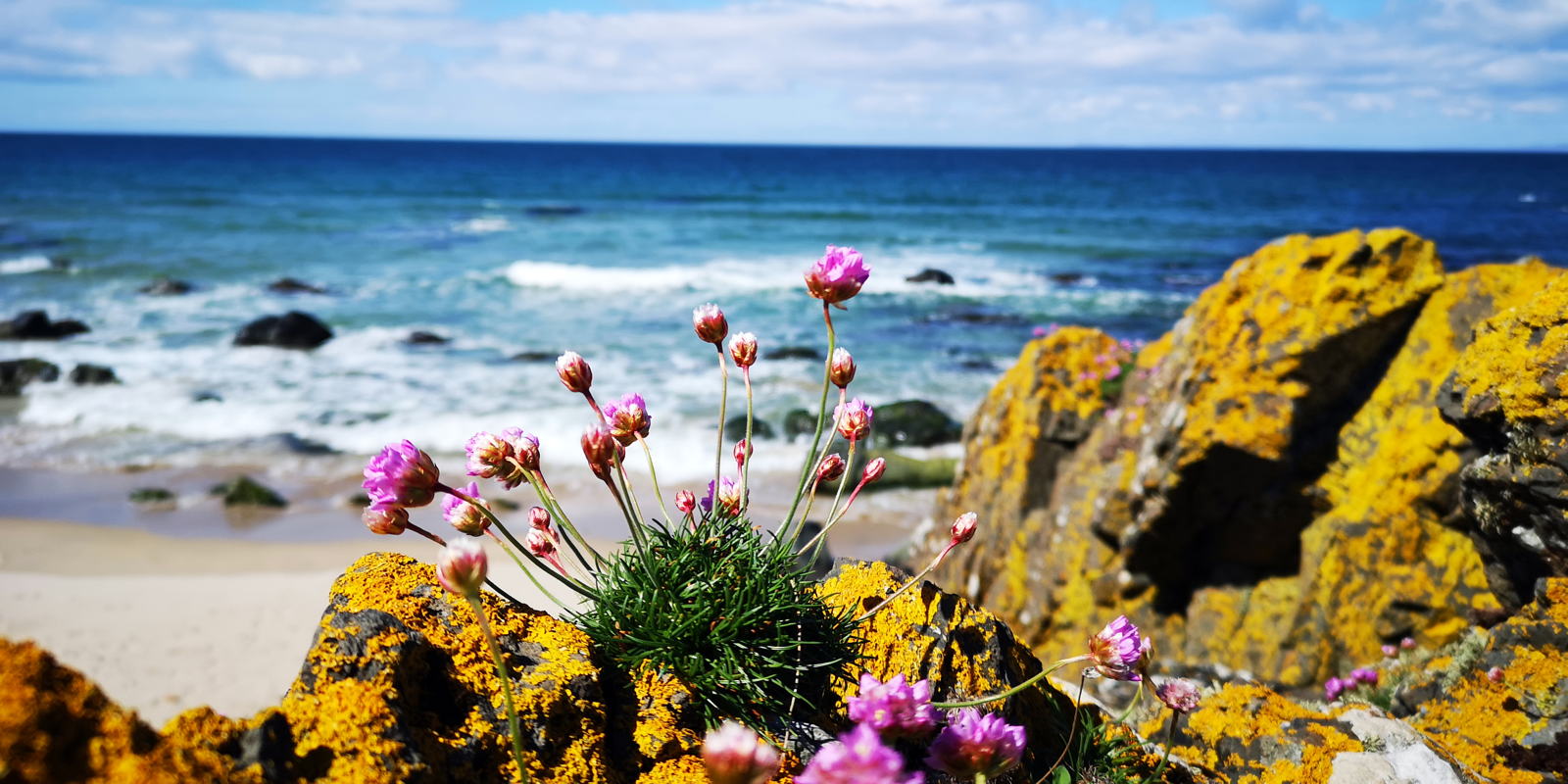 2019 05 03 machrihanish beach6