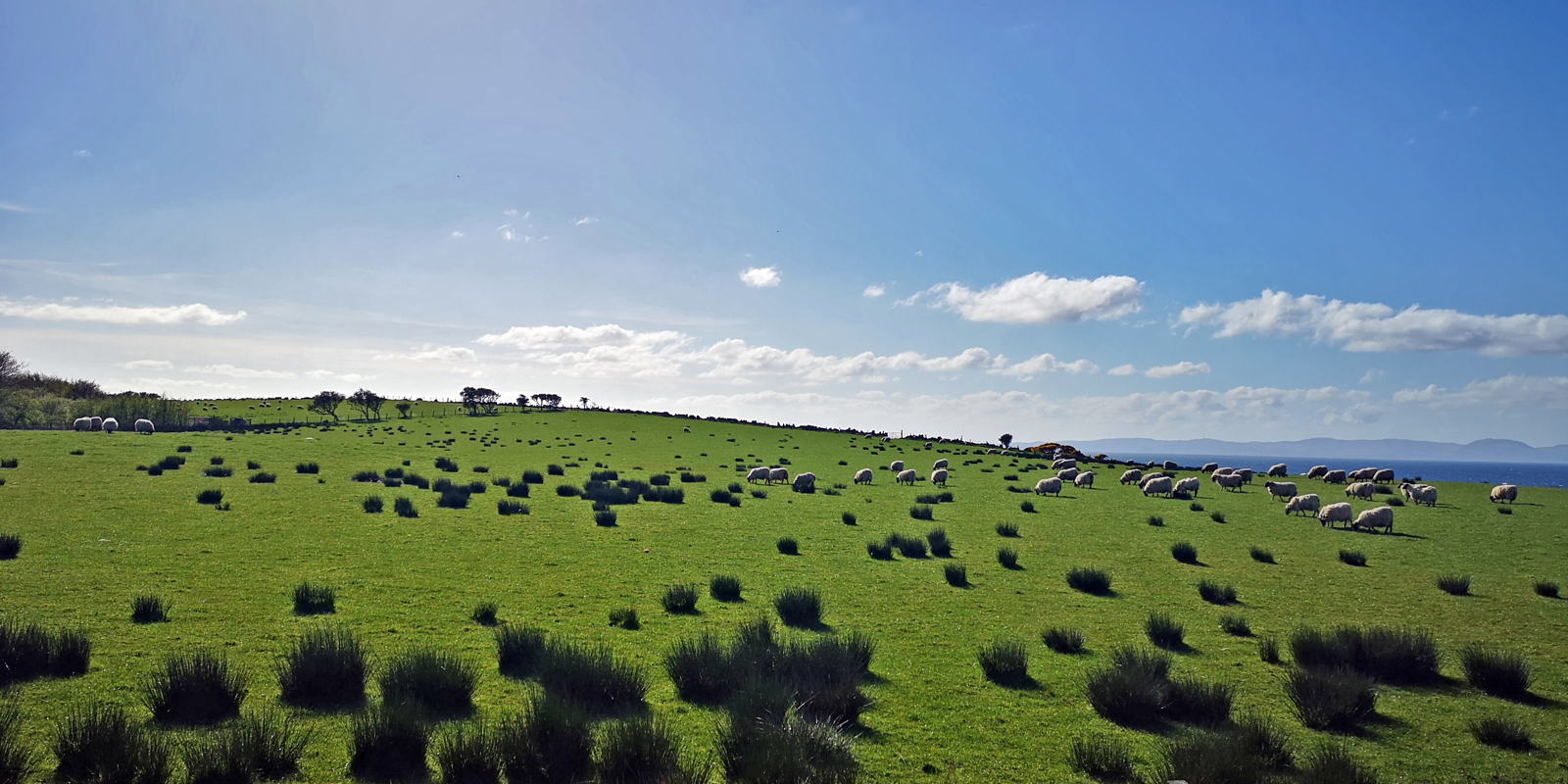 2019 05 03 machrihanish wayback