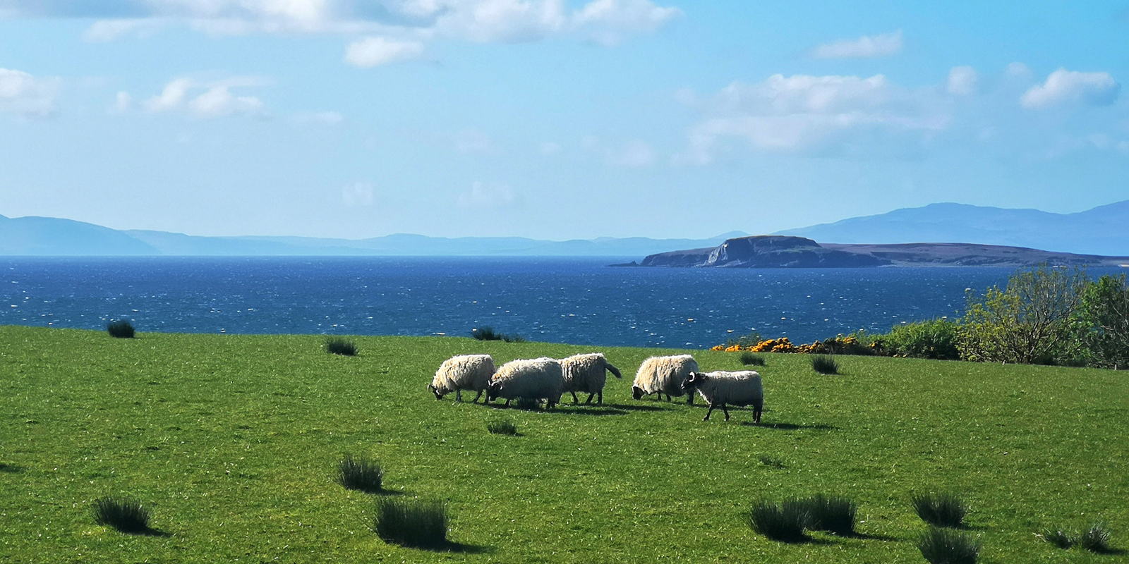 2019 05 03 machrihanish wayback2